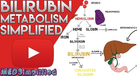 Bilirubin Metabolism Simplified - YouTube