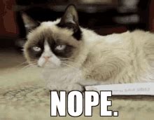 Cat Saying No Nala GIF - Cat Saying No Nala Cat No - Discover & Share GIFs