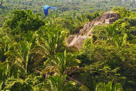 Explore the ancient Mayan ruins of Lamanai which is one of the largest ...