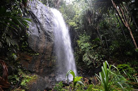 Valle de Mai - Waterfall (1) | Praslin | Pictures | Seychelles in Global-Geography