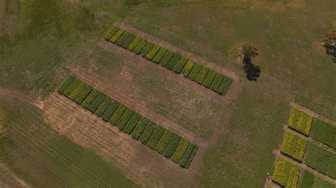 How drone mapping makes on-farm test plots relevant | Pix4D