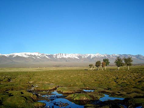 About Mongolia | WWF