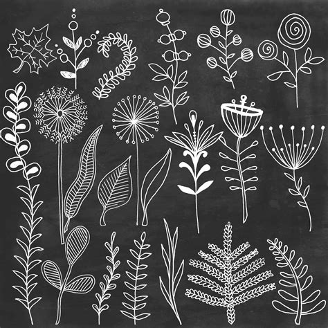 Chalk floral clipart Chalkboard flowers leafs hand painted clip art ...