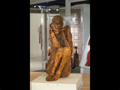 Vatican Museums repatriates mummies to Peru - Arlington Catholic Herald