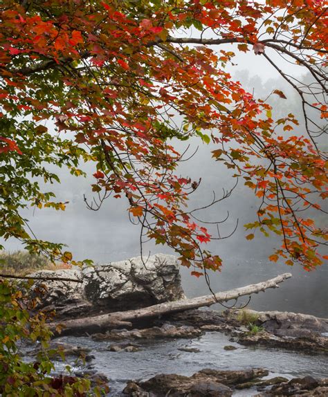 Pro Photographer Tips for Fall Foliage Photos (Part One of Two) | Dan Splaine Photography