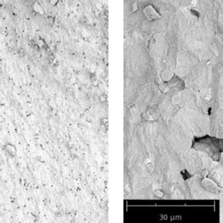 Microstructure of a sample of composite ceramics fired at a temperature... | Download Scientific ...