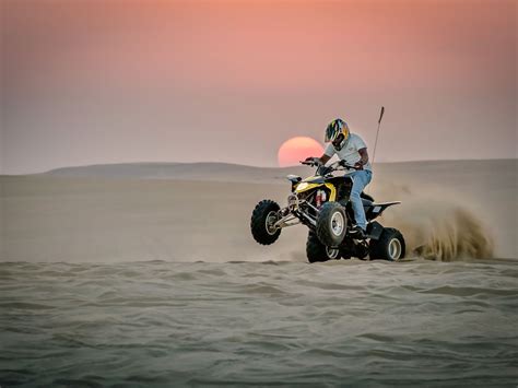 DESERT SAFARI AND DUNE BASHING | SEALINE BEACH, A MURWAB RESORT