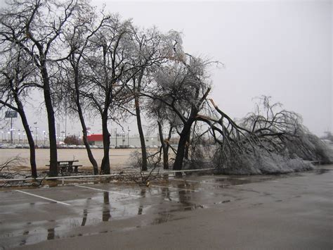 2007 Ice Storm Damage | Lara | Flickr