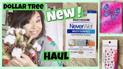 Dollar Tree Haul | 😍 Amazing NEW Items at a New DT!| July 2 2018 ...