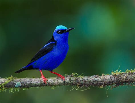 Jungle Adventure Tours in Belize to Add to Your Bucket List - Untame ...