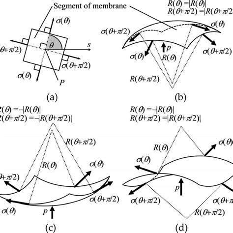 Tensional force - inner pressure relation on a convex membrane; (a ...