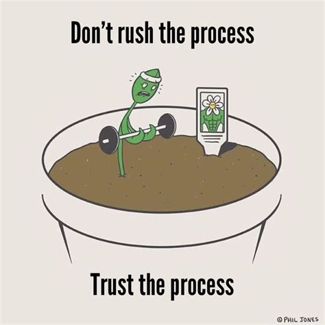 Don't rush the process, #Trust the process. #NotAnotherQuote #Pinterest ...