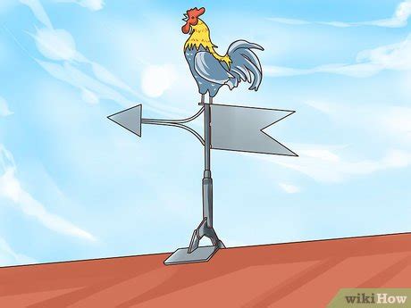 3 Ways to Determine Wind Direction - wikiHow