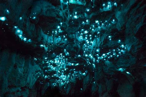 New Zealand’s Hidden ɡem: Delve into the Luminescent Beauty of the Glow ...