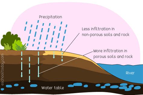 What does infiltration mean in the water cycle? – Eschooltoday