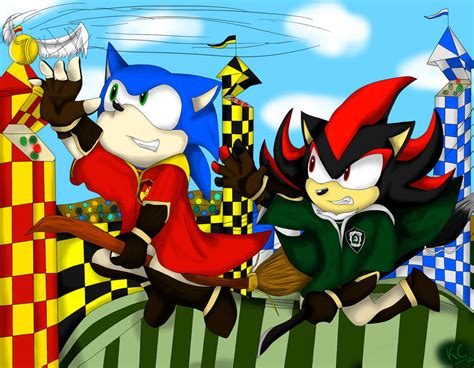 Quidditch- Gryffindor Vs. Slytherin by MsLunarUmbreon on DeviantArt