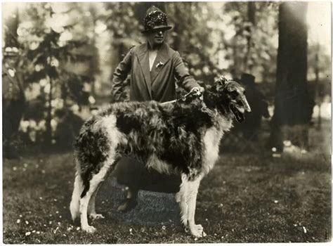 Woman with an Irish Wolfhound. Date: circa 1920s Our beautiful Wall Art and Photo Gifts include ...