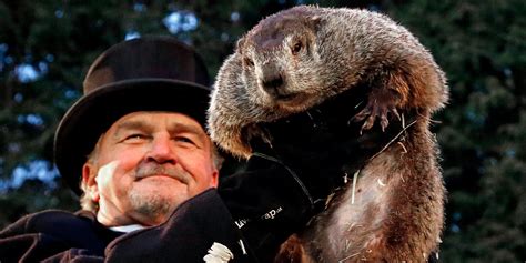 Punxsutawney Phil sees his shadow, heralding 6 more weeks of winter ...