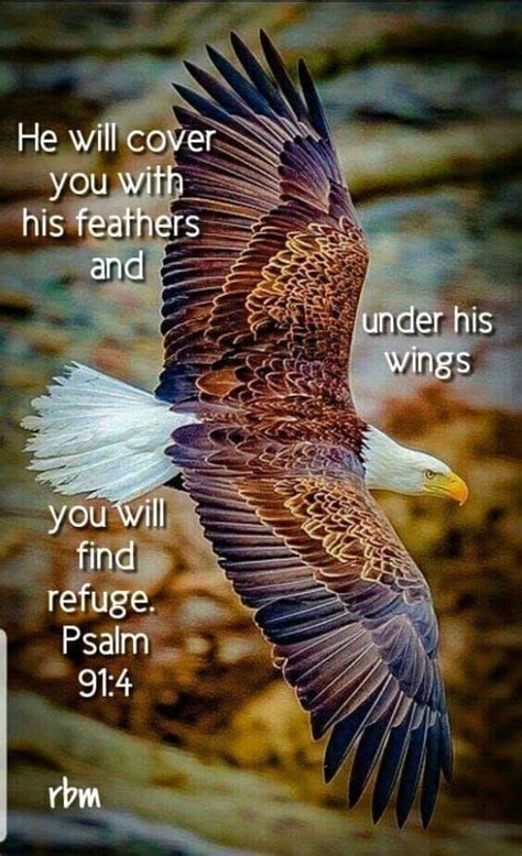 Under-His-wings-1 – A Lifetime With God