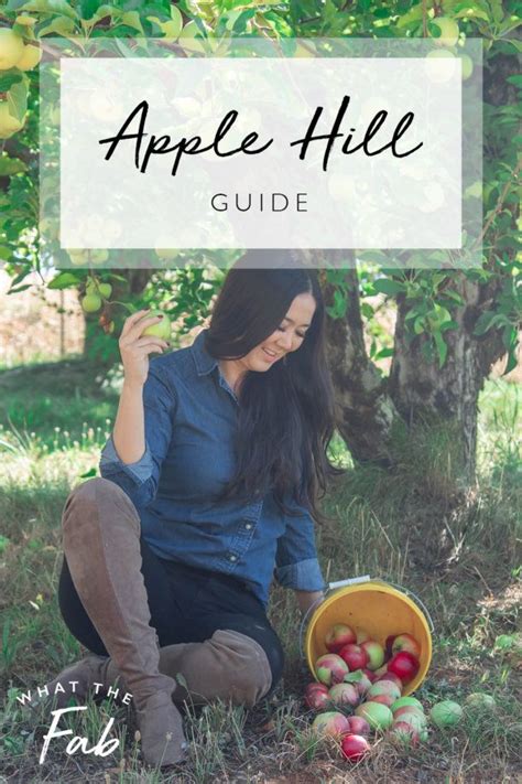 The TOP Apple Hill Orchards to Visit in 2023 (and Which Ones to Avoid)