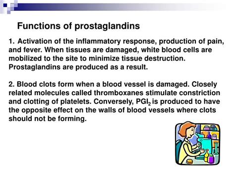 PPT - Prostaglandins: Synthesis, functions and inhibitors PowerPoint Presentation - ID:4188475