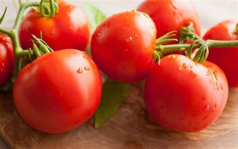 Early Girl tomato 🍅 🌱 Discover the benefits of this fast-growing variety