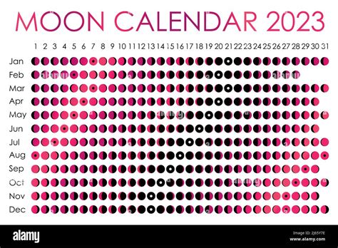 2023 Moon calendar. Astrological calendar design. planner. Place for stickers. Month cycle ...