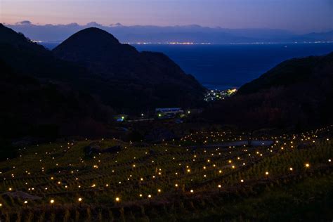 Izu Peninsula: Stroll in Matsuzaki Town and Ishibu Terraced Rice Fields ...