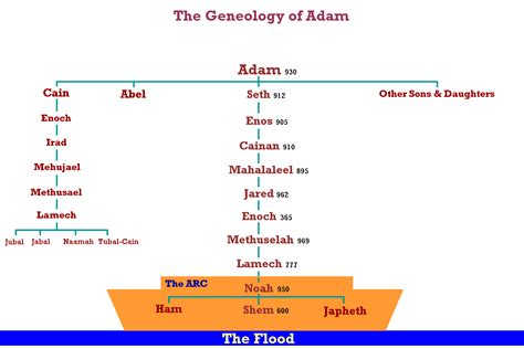 Family Tree Of Moses In The Bible | Family Tree