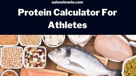 Protein Calculator For Athletes