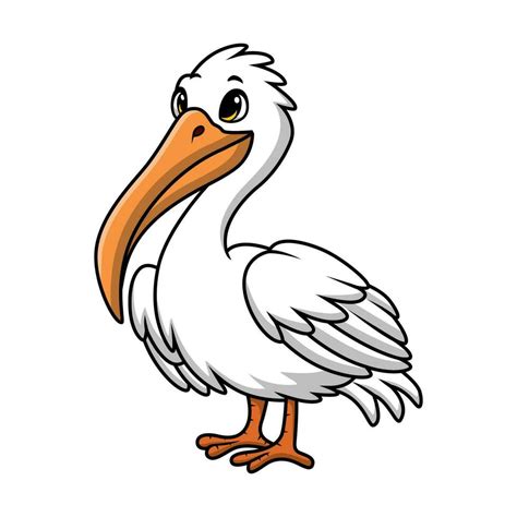 Cute pelican cartoon on white background 33214057 Vector Art at Vecteezy