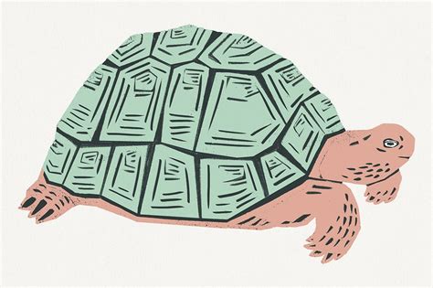 Turtle Shell Images | Free Photos, PNG Stickers, Wallpapers & Backgrounds - rawpixel