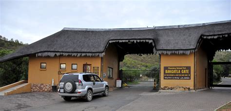 Bakgatla Resort - our favorite self-drive destination in Pilanesberg