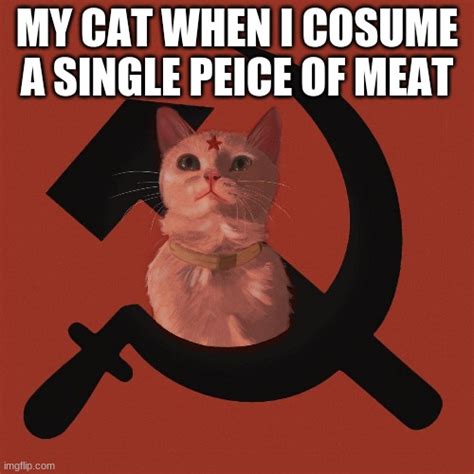 Soviet Cat - Imgflip