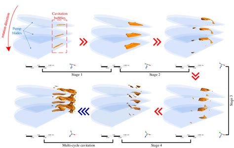 Evolution of cavitation bubbles | Download Scientific Diagram