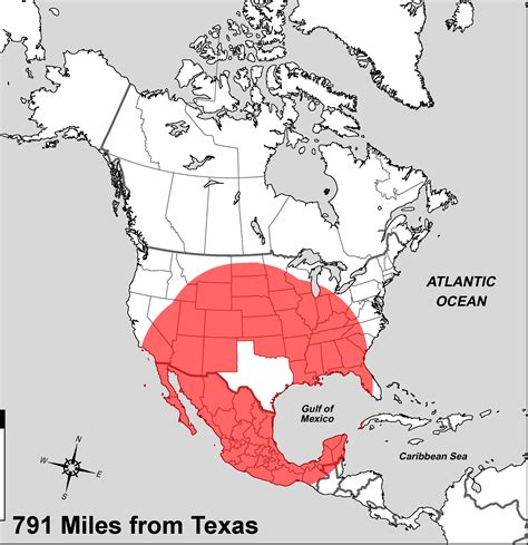 Amazing facts: How big is Texas?