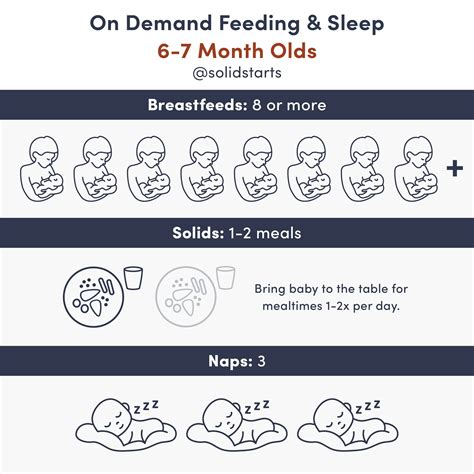 Baby Feeding Schedules by Month - From 6 to 24 Months - Solid Starts