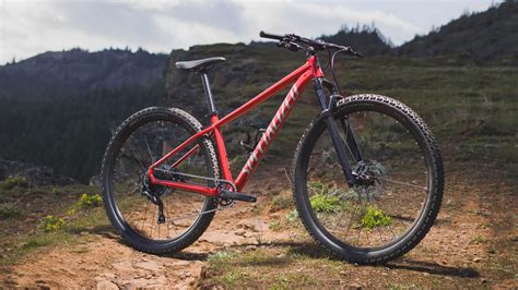 The 2021 Specialized Rockhopper is Super Affordable - BIKEPACKING.com