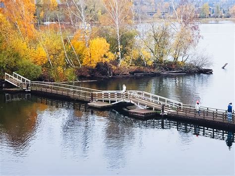 Fishing in LAKE WASHINGTON: The Complete Guide