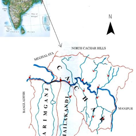 (PDF) Molluscan Diversity in River Barak and its Tributaries, Assam, India