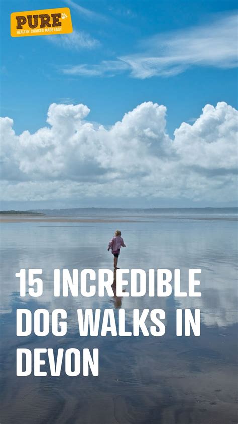 15 Incredible Dog Walks In Devon | Dog walking, The incredibles, Dogs