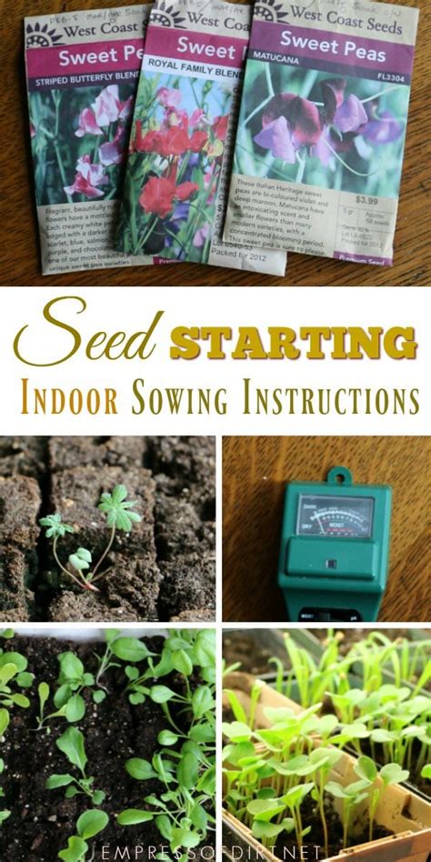 How to Sow Seeds Indoors Step-by-Step - Empress of Dirt