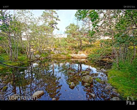 Highland Forest Reflections | "Farewell to the Highlands, fa… | Flickr