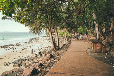 Noosa Heads Coastal Walk | Noosa Main Beach - Sunshine Beach | Australian road trip, Noosa ...