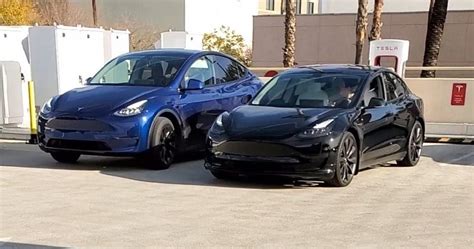 The Ultimate Tesla Showdown: Model 3 vs. Model Y | EVANNEX Aftermarket Tesla Accessories