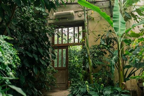 Premium Photo | Interior of an old greenhouse with a collection of tropical plants