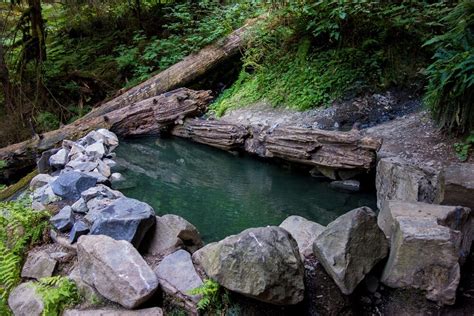 Olympic HotSprings Adventure — Elwha eBike Adventures