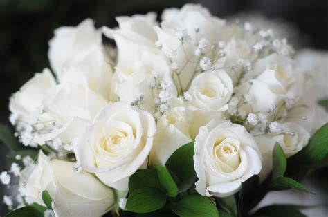 forever88: white rose bridal bouquets...