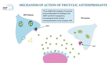 Tricyclic Antidepressants: Psychopharmacological Differences