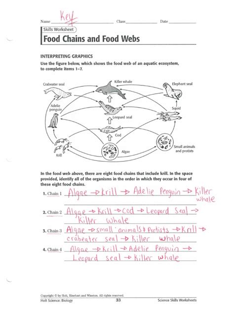 Ferocious Food Chain Worksheets: Free and Easy Print! - The Simple ...